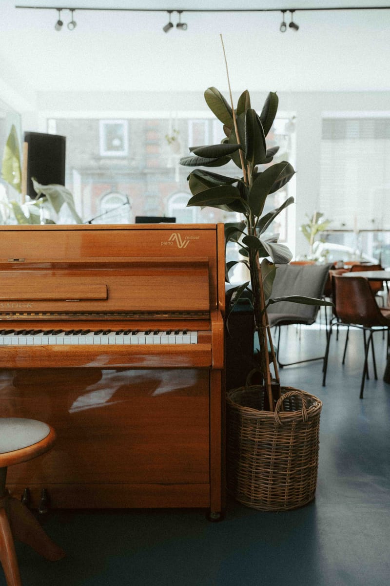 Klavier und Ficus im Innenraum